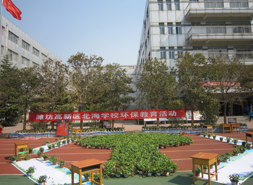 “把绿到回家，童心画小树”